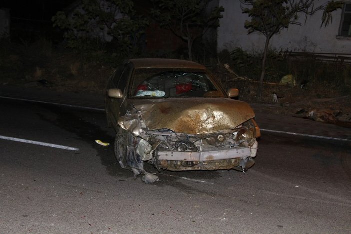 Manisa'da iki otomobil koyun sürüsüne daldı: 7 yaralı