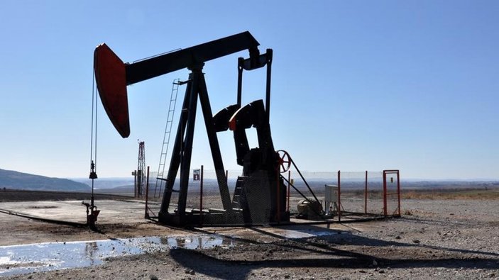 Diyarbakır'da TP'den petrol arama ruhsat başvurusu