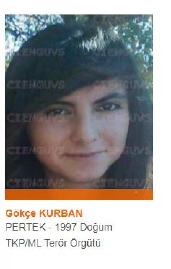 Tunceli'de kırmızı ve turuncu listede bulunan 2 terörist öldürüldü