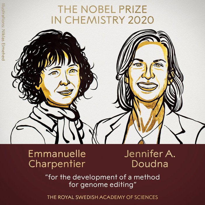 2020 Nobel Kimya Ödülü'nün kazananı belli oldu