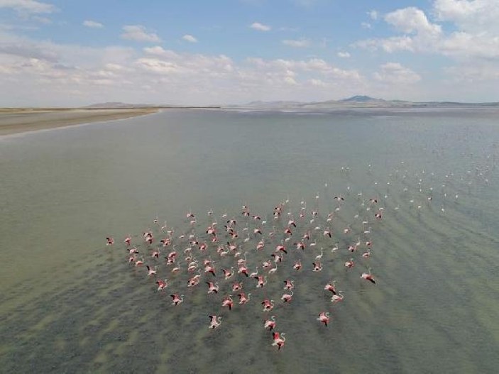 Kırşehir’deki kuş cenneti Seyfe Gölü kurudu