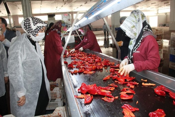 AK Partili Çalık: TKDK desteğiyle Malatya’da 3 bin istihdam oluştu