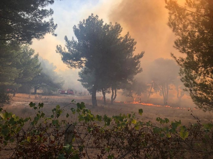 Hatay'da orman yangını, yerleşim yerlerine sıçradı