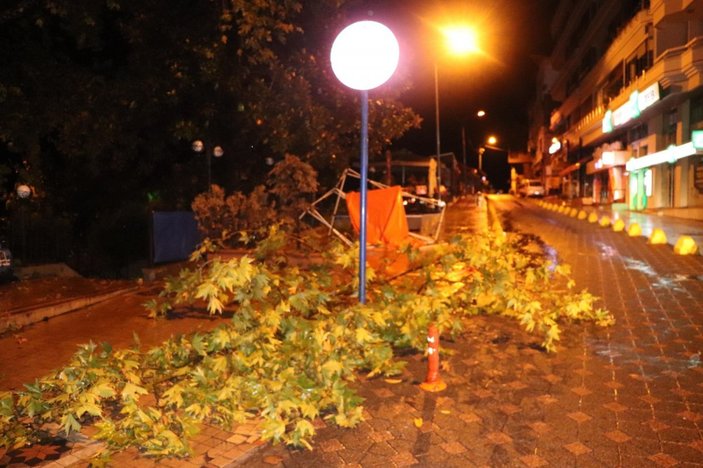Zonguldak'ta yağmur ve şiddetli rüzgar: Ağaçlar devrildi, iş yerlerini su bastı