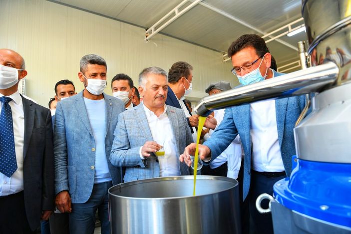 Kumluca'da ilk zeytinyağı sıkımı