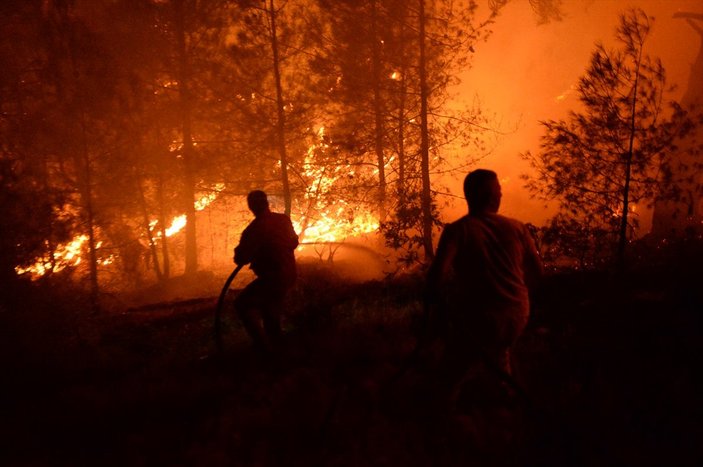 Kahramanmaraş'ta orman yangını