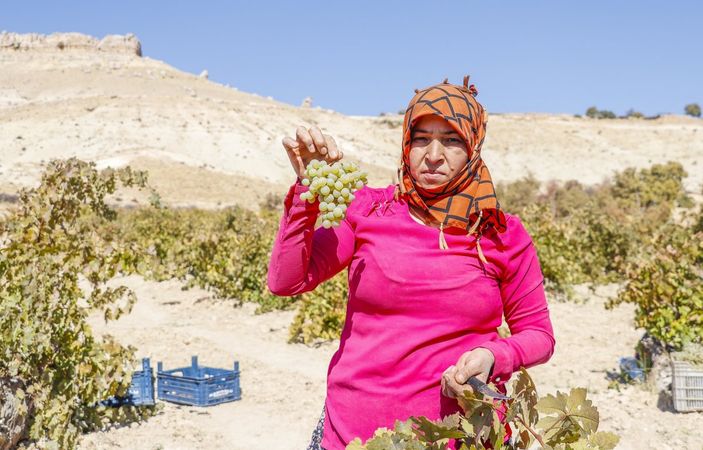 d Mardin'de üzüm pekmezi telaşı