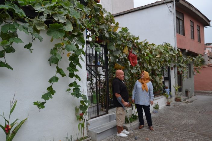 i 3 ay önce ektiği kabağın boyu 120 metreyi buldu