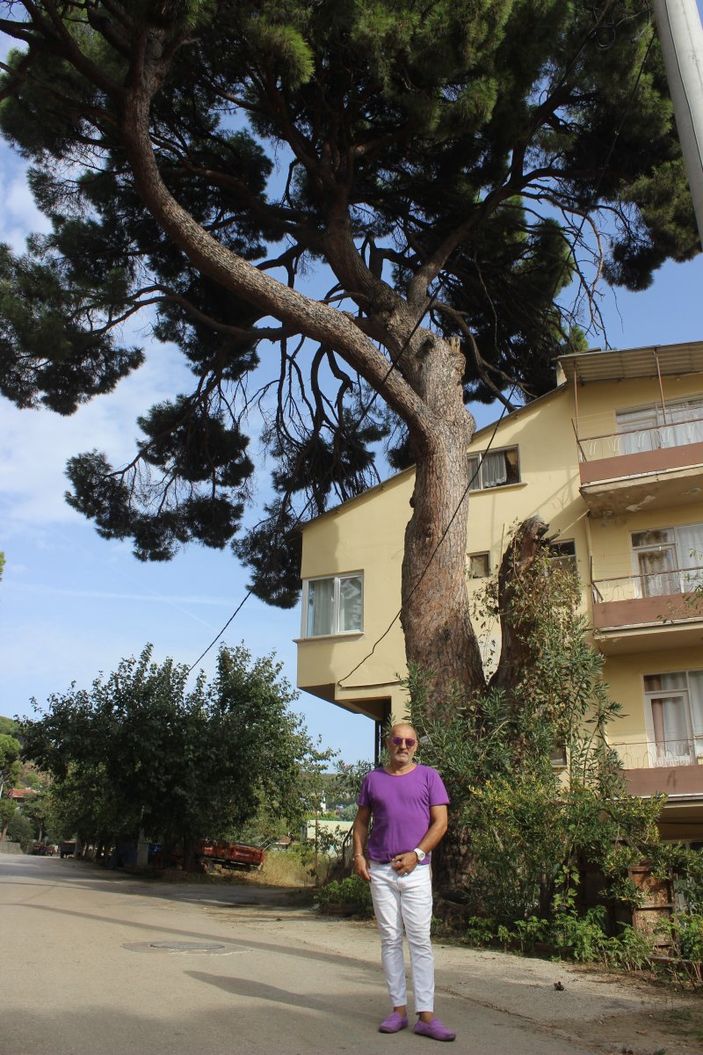 i İngilizlerin topla yıkamadığı 700 yaşındaki tek kollu gazi hâlâ ayakta