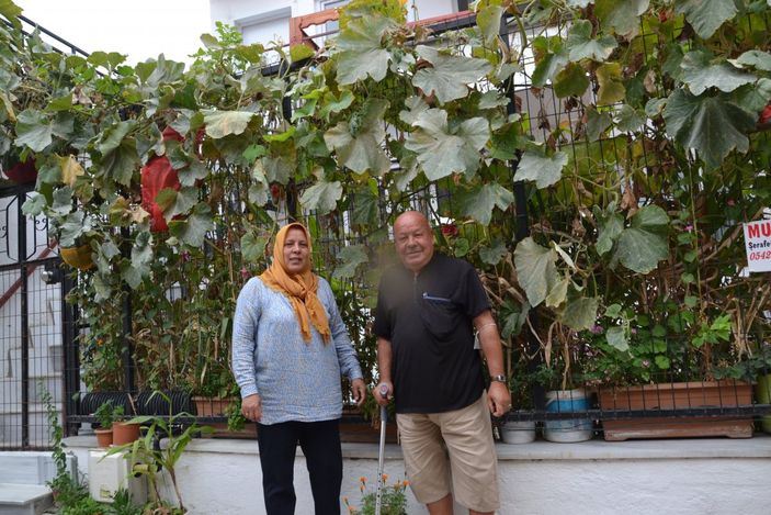 3 ay önce ektiği kabağın boyu 120 metreyi buldu