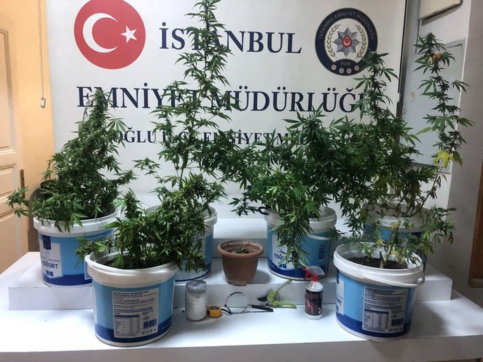 İstanbul’un göbeğindeki uyuşturucu serasına operasyon
