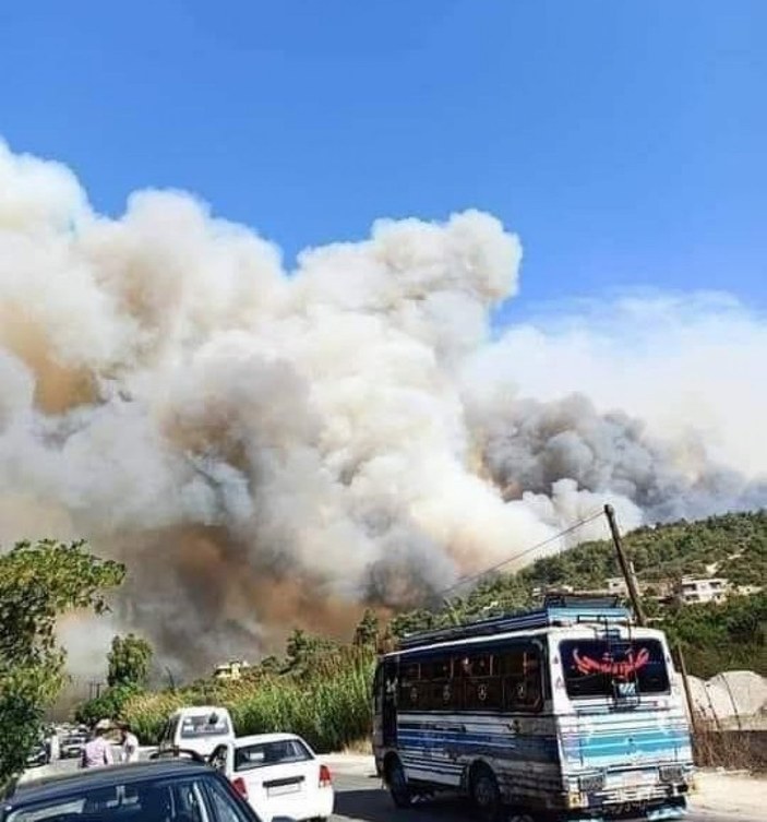 Suriye'de orman yangını: 3 ölü