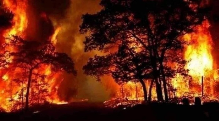 Suriye'de orman yangını: 3 ölü