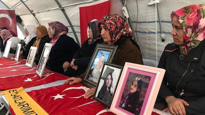 Avrupa, Diyarbakır Annelerini görmezden geliyor