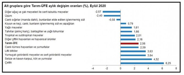 Tarım üretici fiyat endeksi