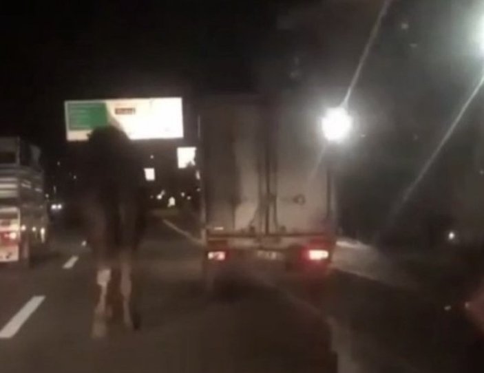 Bursa'da kamyonetin arkasına bağladıkları deveyi koşturdular