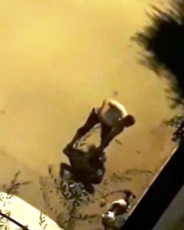 i İzmir'de bir kişi su borusuyla köpeğe şiddet uyguladı