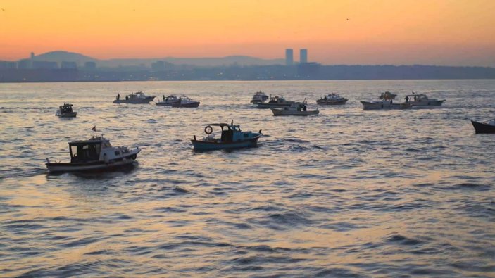 İstanbul Boğazı'nı geçen dev gemileri, yunus balıkları karşıladı