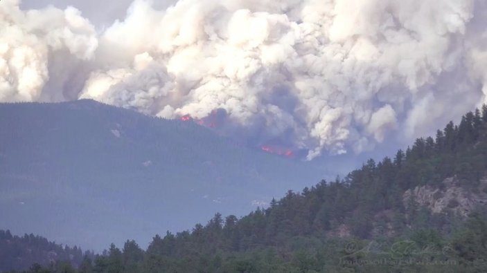 ABD'nin Colorado eyaletinde orman yangını