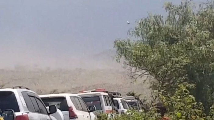 Etiyopya'da çöl çekirgeleri tarlalara akın etti