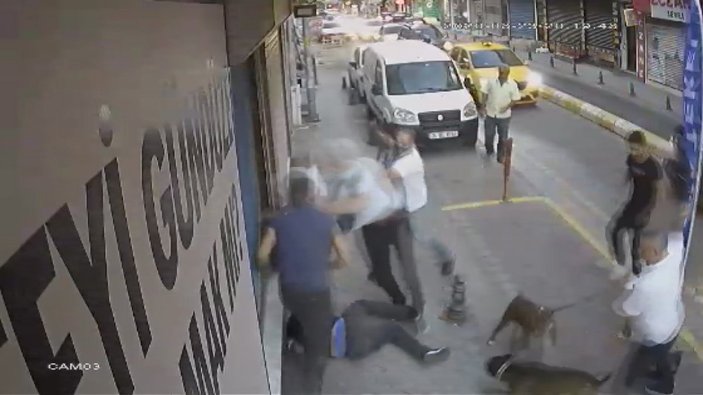Kadıköy'deki kavgaya köpekler de karıştı