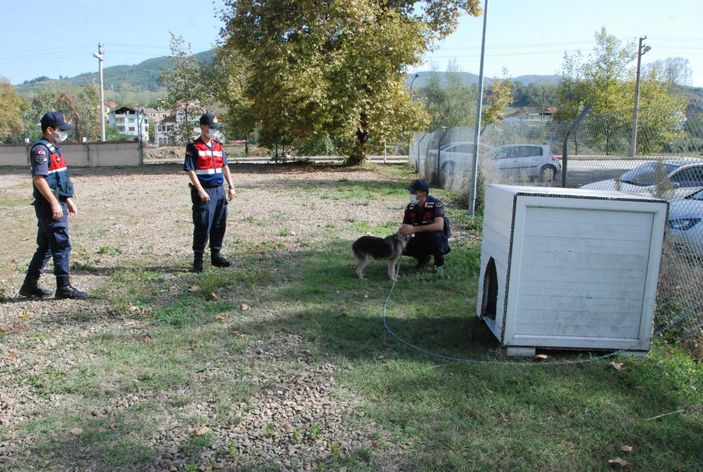 Bartın'da tavukların sahibi kümese giren köpeğe saldırdı