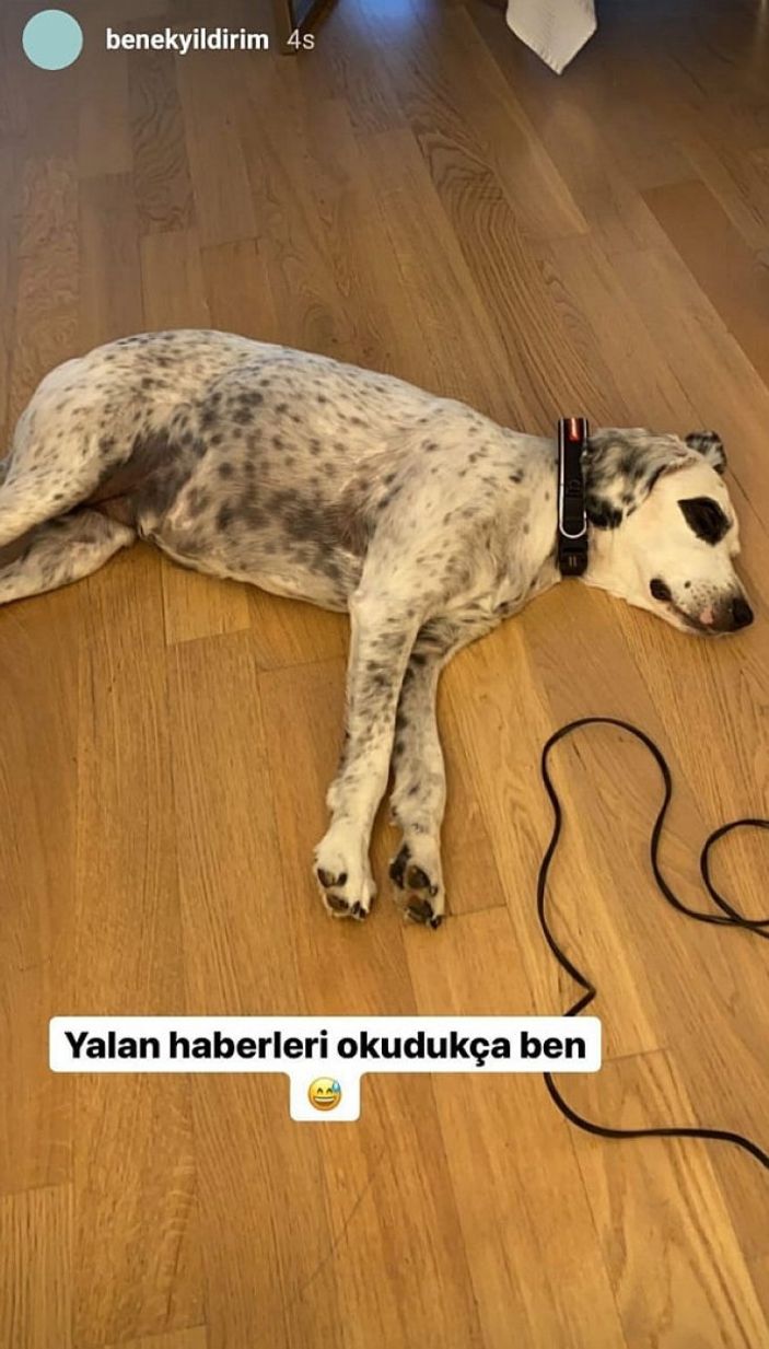 Hadise'yi üzdüler