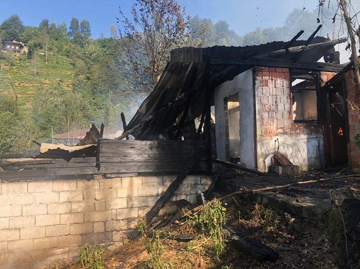 Rize'de köy eviyle birlikte 12 arı kovanı yandı