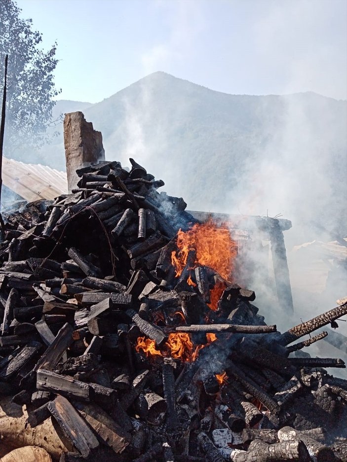 Rize'de köy eviyle birlikte 12 arı kovanı yandı