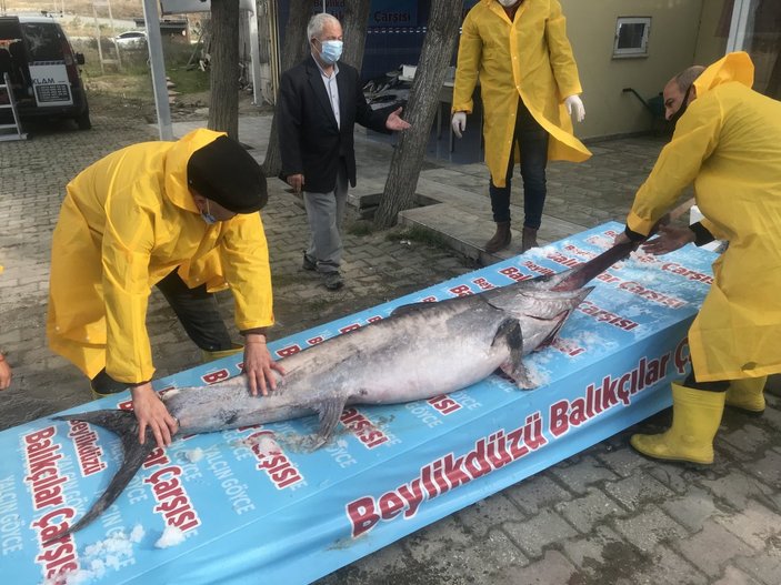 Marmara Denizi açıklarında 3 metrelik kılıç balığı yakalandı