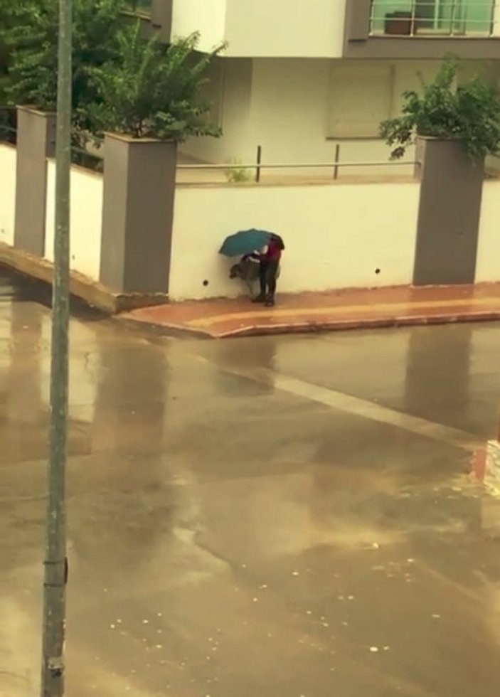 Antalya'da ıslanan köpeği şemsiye ile korudu