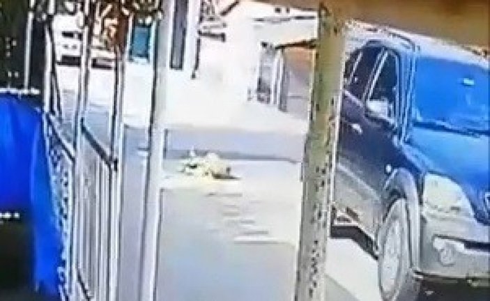 Kocaeli'de bir sürücü, yerde yatan köpeği ezdi
