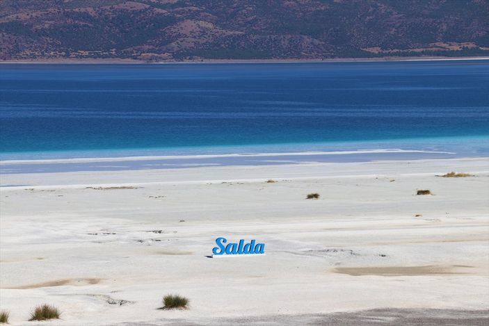 Salda Gölü'ne özgü sığırkuyruğu türü bitkiler korumaya alındı
