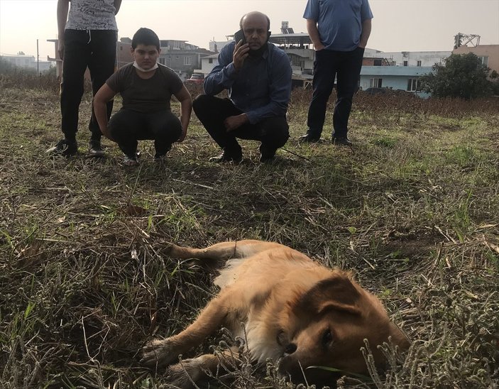 Bursa'da komşusunun öldürdüğü köpeğinin ardından ağladı