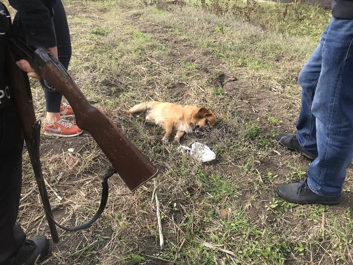 Bursa'da komşusunun öldürdüğü köpeğinin ardından ağladı