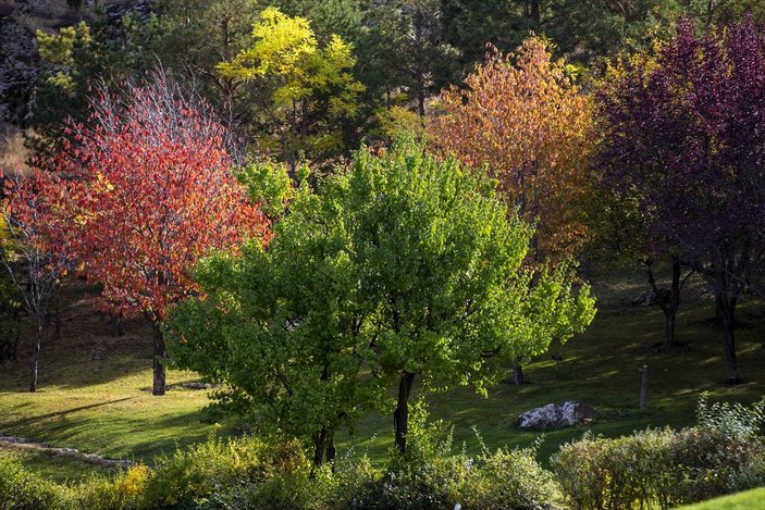 Kırşehir'in Japon Bahçesi'nden sonbahar manzaraları