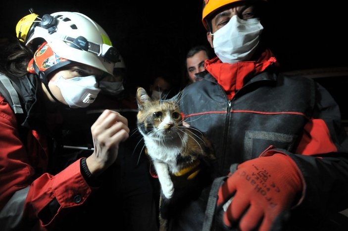 İzmir'de enkazda K-9 köpeği kediyi kurtardı
