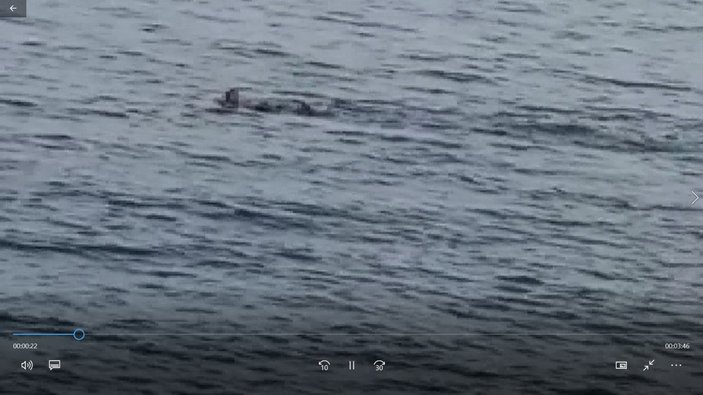 Bakırköy'de denize giren adam boğuldu