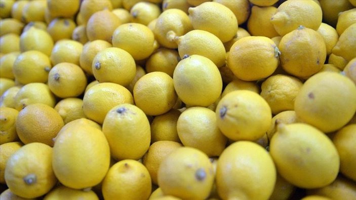 Ekim ayında en çok limonun fiyatı düştü