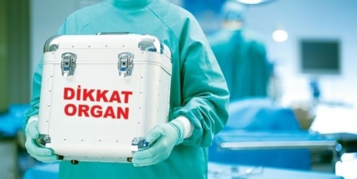 Organ Bağışı Haftası: Organ bağışı nedir, nasıl gerçekleştirilir? Organ bağışı şartları nelerdir?