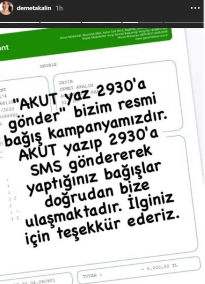Demet Akalın'dan AKUT'a bağış