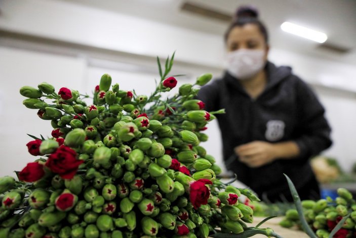 Krizi fırsata çeviren çiçek sektörü, 90 milyon dolarlık ihracat yaptı