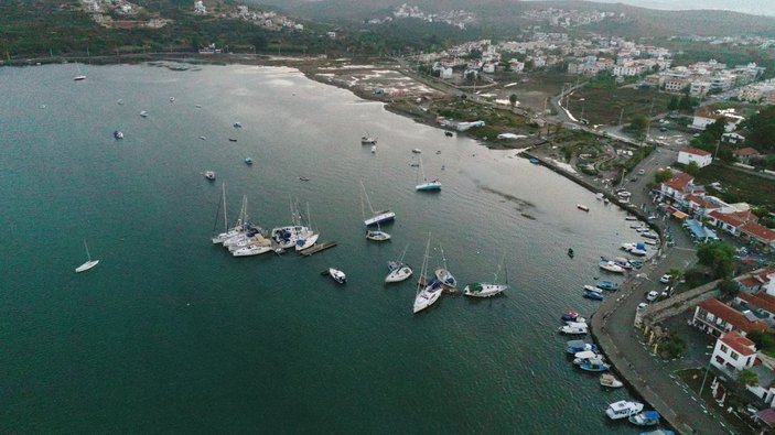 İzmir'de deprem sonrası tsunaminin bilançosu