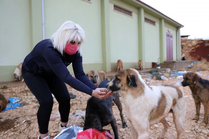 Gaziantep'te köpeklerin mamasını çalan hurdacıyı darbeden kadın konuştu