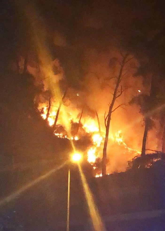 Muğla'da bir ormanda yangın çıktı