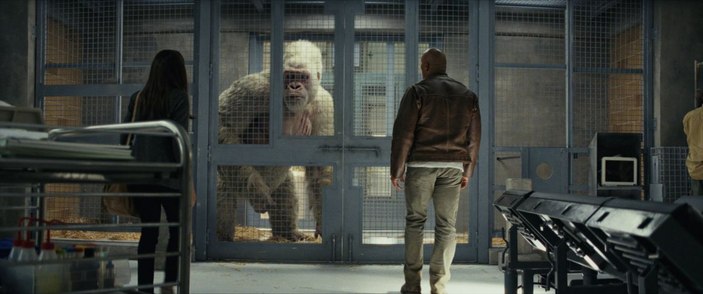 Rampage Büyük Yıkım filmi konusu nedir? Rampage Büyük Yıkım hangi kanalda?