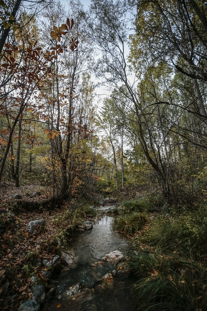 Ankara’daki Kıbrıs Köyü Kanyonu’nda sonbahar güzelliği