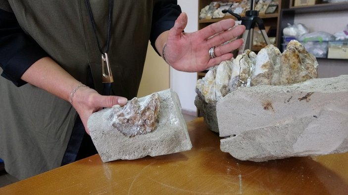 Çanakkale’de 9 milyon yıl öncesine ait mamut fosilleri bulundu