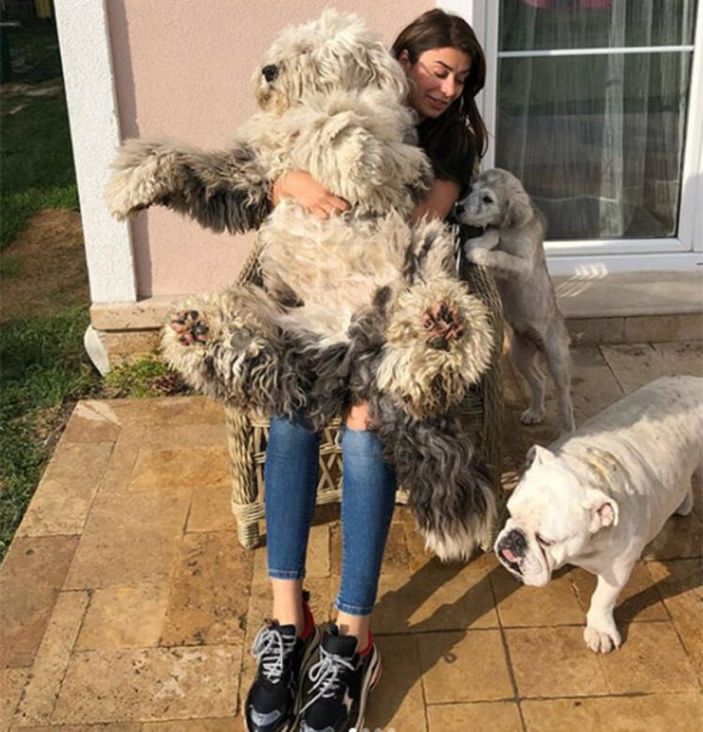 Ebru Şancı, hastanelik oldu