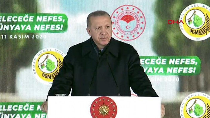 Cumhurbaşkanı Erdoğan: Gezi'de çevre için sokakları yakanlar, fidan seferberliğimizi kötüledi